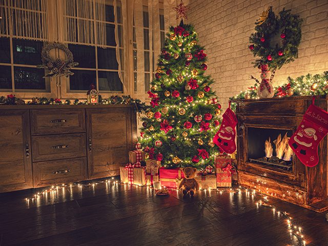 出張ケータリングクリスマス・忘年会ビュッフェパーティープラン #2